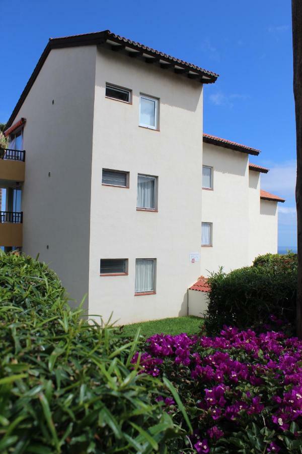 Holidaynorthtenerife Exotic Apartament Los Realejos Exterior photo